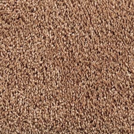 Frisé - Manduro - 026